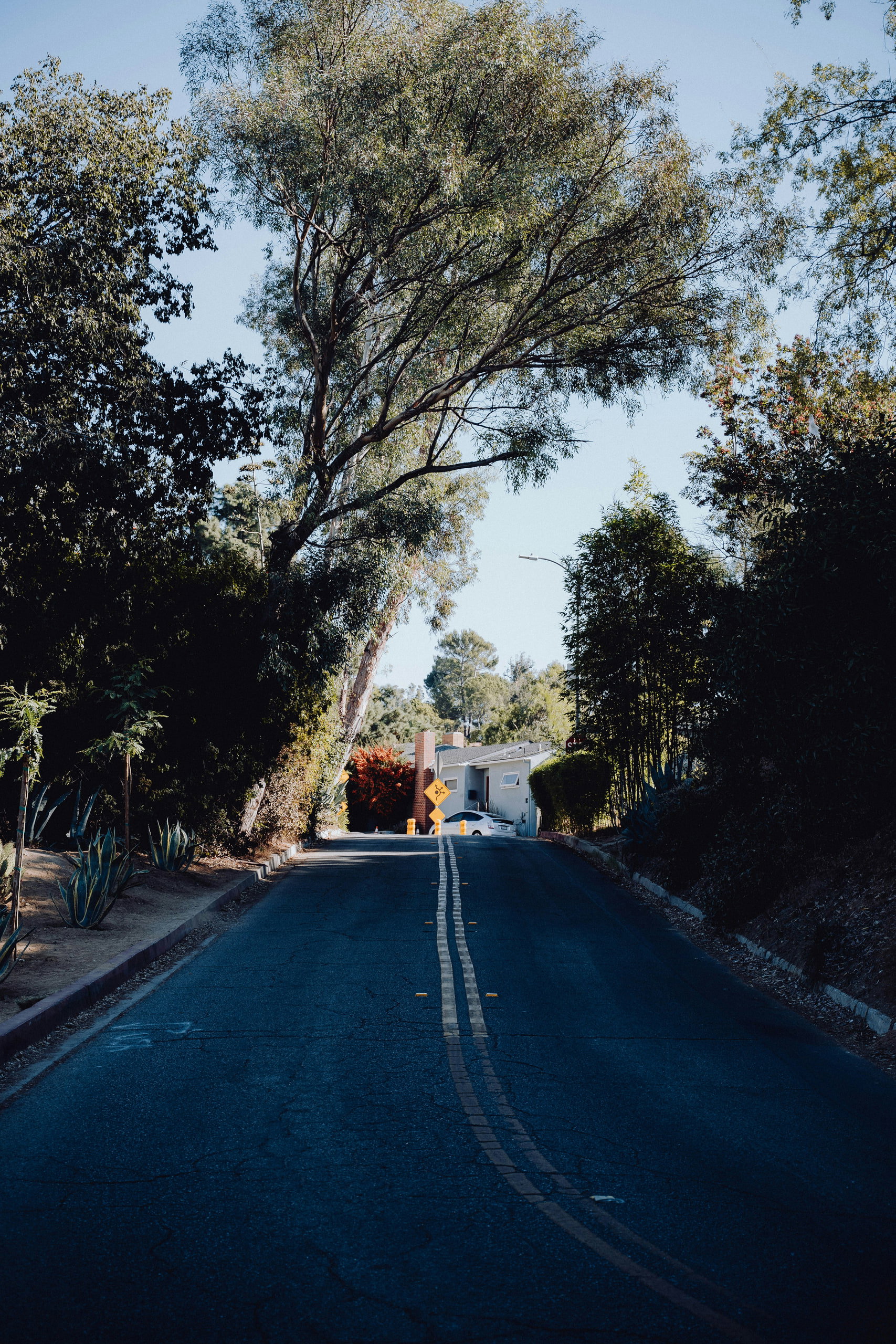 A quiet tree-lined residential street